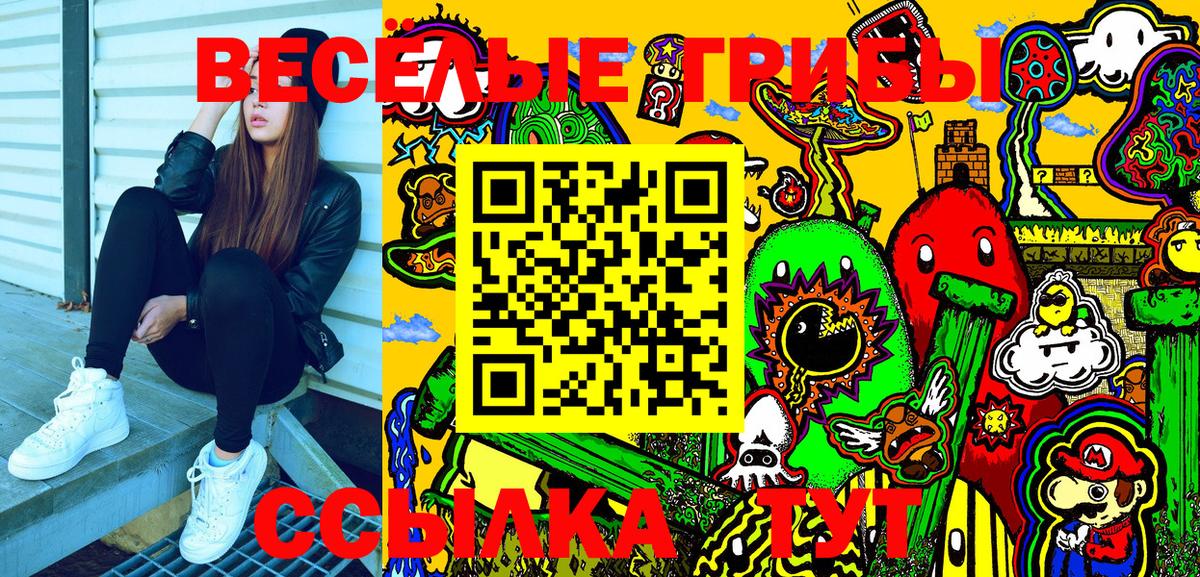 Галлюциногенные грибы мицелий  Псилоцибиновые грибы Psilocybine cubensis  Сатка 