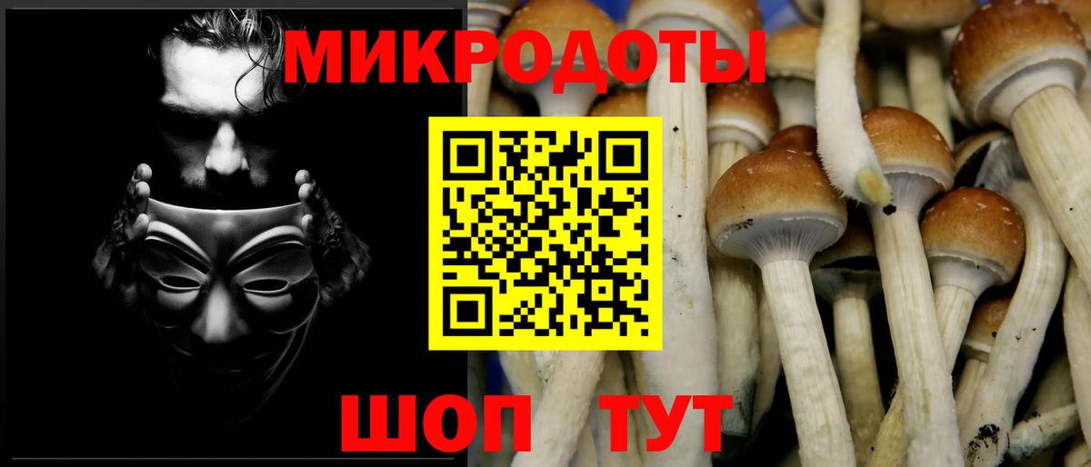 Сатка  Галлюциногенные грибы Psilocybe  Галлюциногенные грибы GOLDEN TEACHER  Вход с VPN 