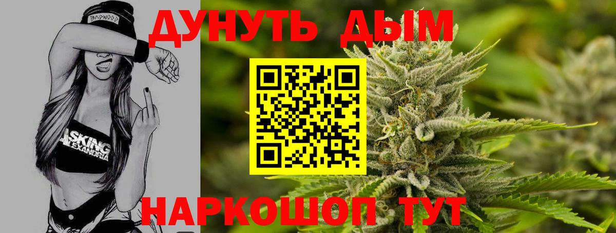 Каннабис план  Канабис OG Kush  Каннабис семена  Вход с VPN  Сатка 